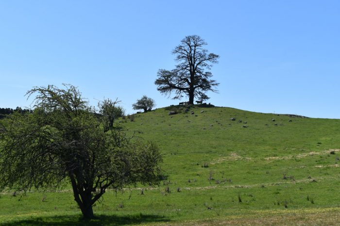 Malmsbury beautiful green hill