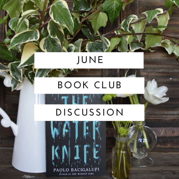 the water knife review the water knife review