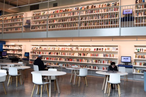 Book Lover’s Guide to Geelong Library, Australia – Babbling Books